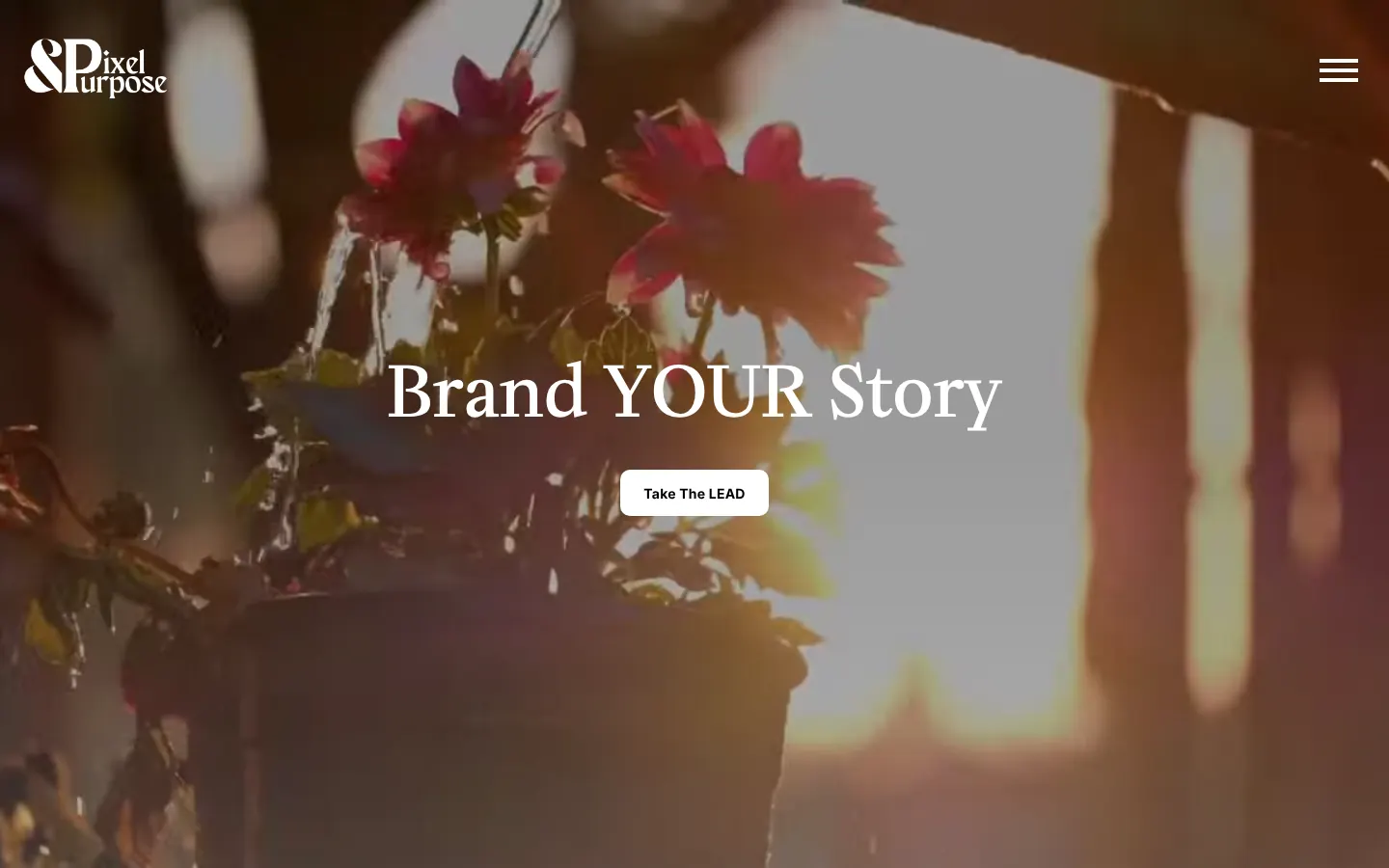 Pixel N Purpose home page